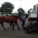 2014 Golden Slipper Winner Mossfun heading to @EmiratesPark for well deserved spell