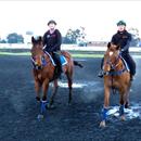 2yo Colts Magic Albert x Eye For Fun (Mossfun) and Snitzel x MonteRossa (Snitzerland)