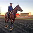 ATH enjoying the view at flemington this morning