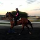All Too Hard had a spring in his step when trotting around on Monday after his big win All Too Hard had a spring in his step when trotting around on Monday after his big win
