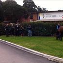 All Too Hard having a pick of grass in front of the media