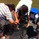 All hands on deck ..... All hands on deck .....
