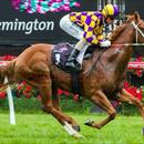 Bugatty very dominant today @FlemingtonVRC with more improvement to come Bugatty very dominant today @FlemingtonVRC with more improvement to come