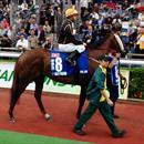 Can Able Friend take out the HK Champions Mile !!! Can Able Friend take out the HK Champions Mile !!!
