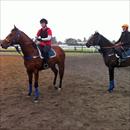 Casino Prince x Helsinge colt ( L ) and Nadeem x Heart Set colt at Trackwork