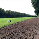 Chantilly would have to be one of the most beautiful horse training centres I have ever seen... Horses are so relaxed Chantilly would have to be one of the most beautiful horse training centres I have ever seen... Horses are so relaxed