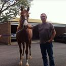 Chris Barham at Tyreel Stud with his Exceed and Excel x Legally Bay filly