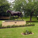 Coolmore stallion barn Coolmore stallion barn
