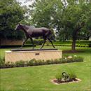 Coolmore stallion barn