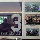High Chaparral winning the Breeders Cup High Chaparral winning the Breeders Cup