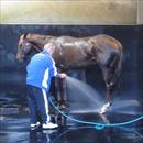 Hosing down after trackwork