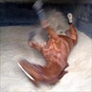 EntirelyPlatinum kicking his heels up after working EntirelyPlatinum kicking his heels up after working