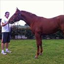 Flying Spur x Shasta colt Flying Spur x Shasta colt