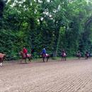 Freddy Heads string out on the track about to have their morning exercise Freddy Heads string out on the track about to have their morning exercise