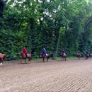 Freddy Heads string out on the track about to have their morning exercise