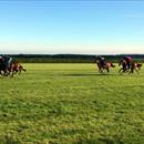 Gallops @Newmarket