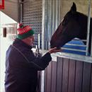 George feeding Stratford carrots George feeding Stratford carrots