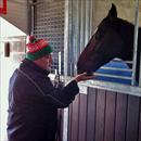 George feeding Stratford carrots