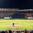 Great days racing then an outstanding game tonight at the SCG between LA Dodgers vs Arizona Diamond Backs