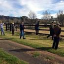 Hawkes Racing clients looking @VineryStud stallion Pluck