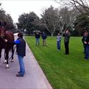Hawkes Racing tour at The Oaks Stud looking at Maluckyday's brother Darci Brahma x Natalie Wood colt Hawkes Racing tour at The Oaks Stud looking at Maluckyday's brother Darci Brahma x Natalie Wood colt