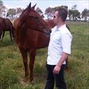 Curtis Gavin inspecting his new yearling at Makybe Stud ....... Strategic x In The Club colt