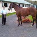 Brad Crismale with Zabeel x Wanaka Filly Brad Crismale with Zabeel x Wanaka Filly