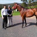 Happy owner Wes Holland with Tim Boland and the Postponed x Forlorna Colt Happy owner Wes Holland with Tim Boland and the Postponed x Forlorna Colt