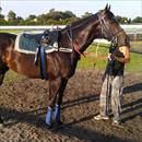 Torino at trackwork