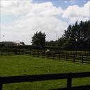 Windsor park paddocks Windsor park paddocks