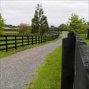 Haunui Farm Haunui Farm