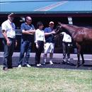 Karaka 2011 Lot 332 Fasnet Rock x Gialisa filly Karaka 2011 Lot 332 Fasnet Rock x Gialisa filly