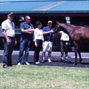 Karaka 2011 Lot 332 Fasnet Rock x Gialisa filly