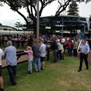 Inglis Classic Sale 2013