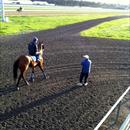 John at Flemington looking over All Too Hard