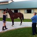 John at Limitless Lodge looking at the Darci Brahma x Natalie Wood colt