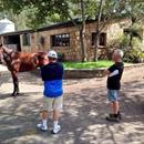 John with Bob and Wendy LaPointe looking at yearlings at Muskoka Farm