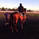 John with Happy Galaxy and Dwayne Dunn  @FlemingtonVRC this morning