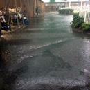Just a little storm here @rosehillgardens Just a little storm here @rosehillgardens