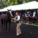 Karaka 2012 Karaka 2012