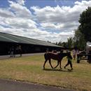 Karaka NZ Sales 2013 Karaka NZ Sales 2013