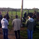 Leon Casey talks about the top class mares on the farm Leon Casey talks about the top class mares on the farm