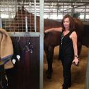 Louise Orielly @ the Rosehill stables with her Northern Meteor Filly... Mary's Dawn