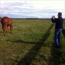 Mark Davis taking happy snaps of his new best mate Strategic x In The Club gelding