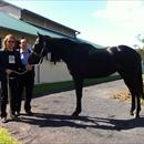 Michael Tang and Michael Lam with their horse 'Greenwich' at Limitless Lodge Michael Tang and Michael Lam with their horse 'Greenwich' at Limitless Lodge