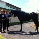 Michael Tang and Michael Lam with their horse 'Greenwich' at Limitless Lodge