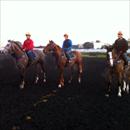 Morning exercise (L to R) More Than ready x Lovely Jubly colt, Shamardal x Confidential Miss colt and Valixir x Regal Nina Colt.