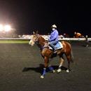 Mossfun after her morning stroll Rosehill