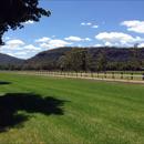 Muskoka Farm looking magnificent