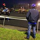 Owner Andrew Williams casting his eye over Mecir in the lead up to the NJC Newmarket Hcp Owner Andrew Williams casting his eye over Mecir in the lead up to the NJC Newmarket Hcp